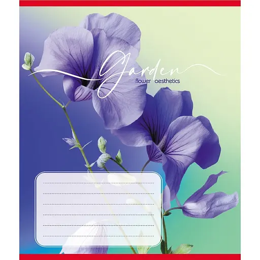 Зошит учнівський "Естетика" Leader 024-550443K-3 в клітинку, 24 аркуші - фото 1