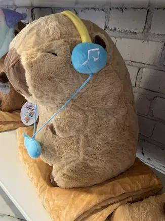 Детский набор Игрушка плед Капибара в костюмах мягкая игрушка с пледом для детей - фото 3