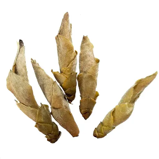 Дикие почки из пуэрных деревьев Гу Шу Я Бао от Цзин Лун 2021 г. - 50 г - фото 2