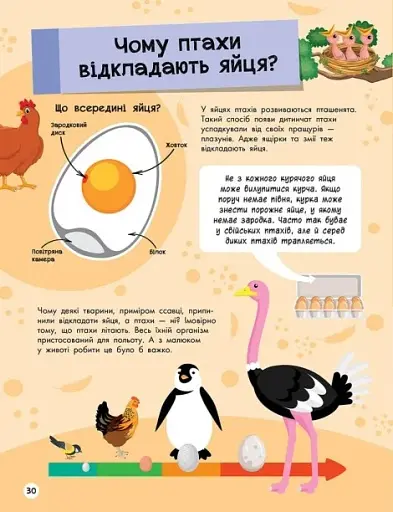Велика енциклопедія для чомусика - фото 5