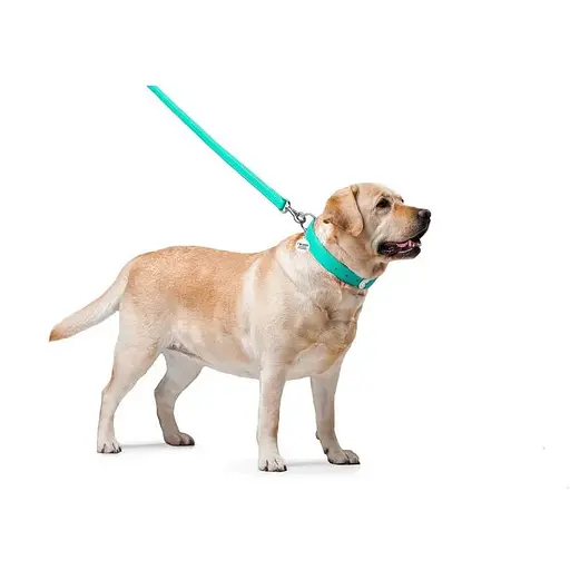 Повідець для собак Waudog Glamour шкіряний, ментоловий - фото 3