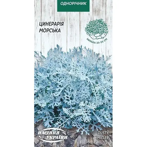 Насіння Цинерарія морська Насіння України 0.1 г (805000)