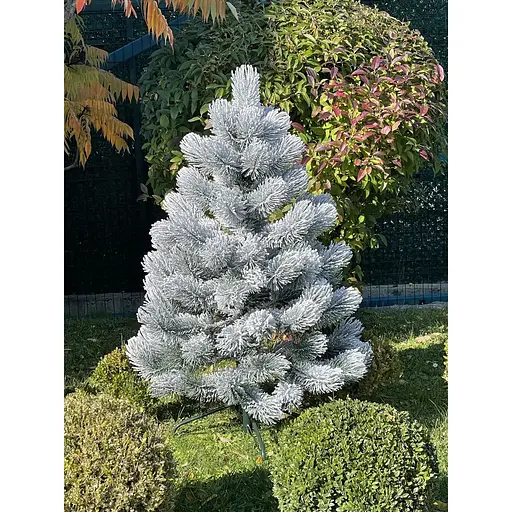 Сосна Hvoya 100% лита 120 см засніжена - фото 3