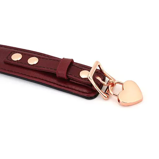 Ошейник с поводком Liebe Seele Wine Red Curved Collar - фото 5