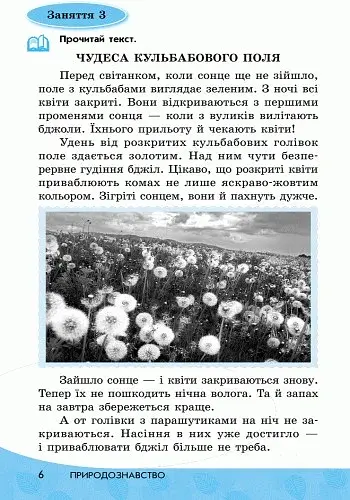 Читай! Міркуй! Аналізуй! Навчальний посібник для учнів 1 класу - фото 4