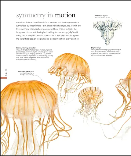 The Science of Animals - фото 15