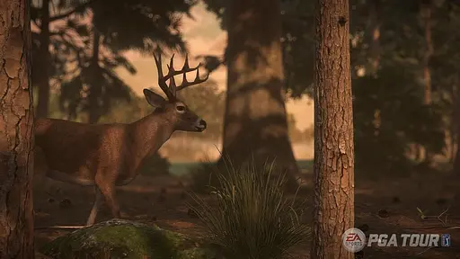 Игра Sony PlayStation 4 Rory McIlroy PGA Tour Английская Версия Б/у - фото 3