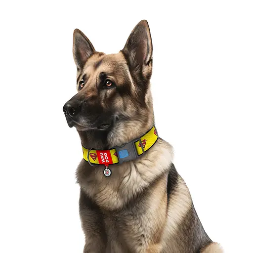 Нашийник для собак нейлоновий Waudog Nylon з QR-паспортом "Супермен 2" пластиковий фастекс XXL Ш 35 мм Д 46-70 см - фото 3