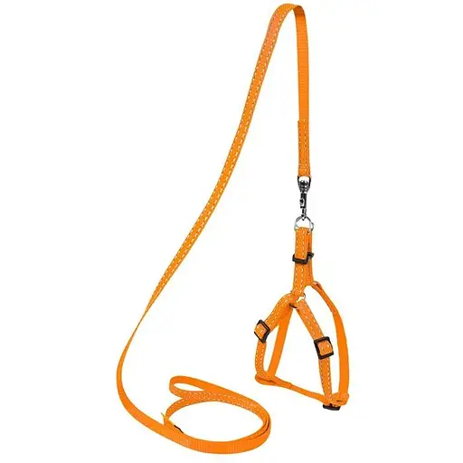 Шлея Dog Extreme з нейлону регульована з повідцем (14мм, довжина 115см, В:40-55см) помаранчевий