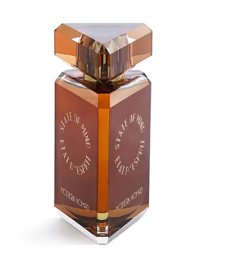 Парфюмированная вода оригинал State Of Mind Modern Nomad 100 мл - фото 2