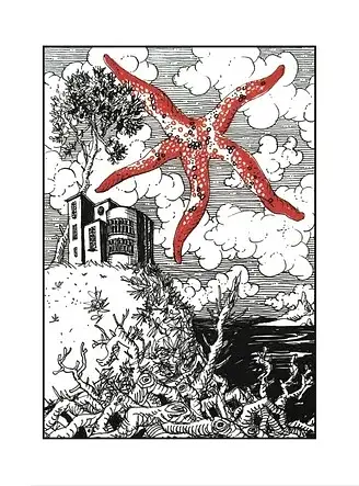 Каміння і цвяхи - фото 6