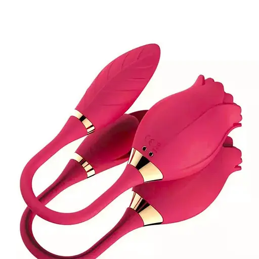 Вакуумный вибратор "Роза" Valery двойная стимуляция USB Розовый K0499-1