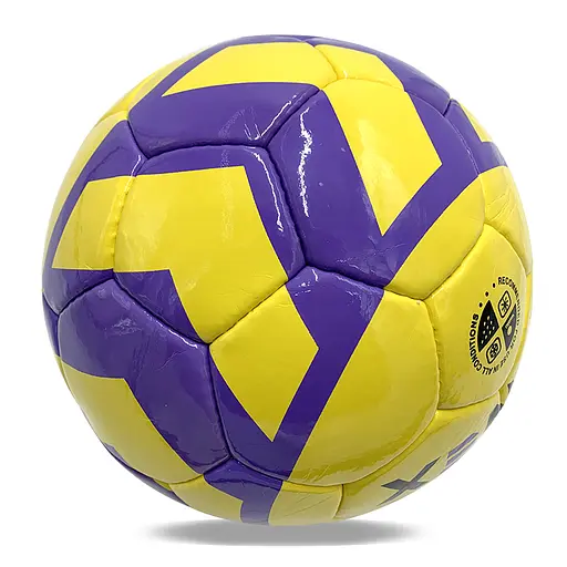 Мяч футбольный Newt Rnx 32 панели №5 NE-F-X1