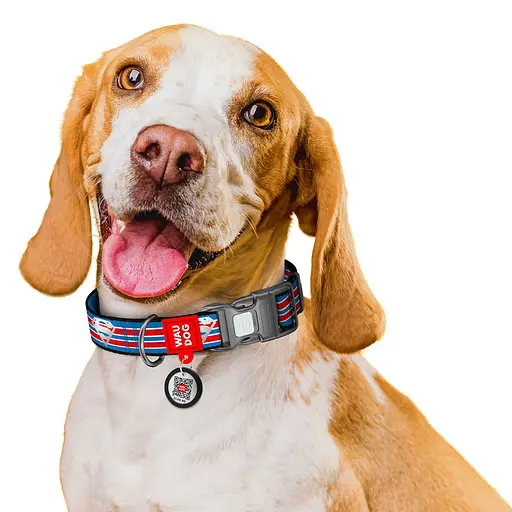 Ошейник для собак нейлоновый Waudog Nylon с QR-паспортом светоотражающий "Супермен Ретро" пластиковый фастекс XL Ш - фото 6