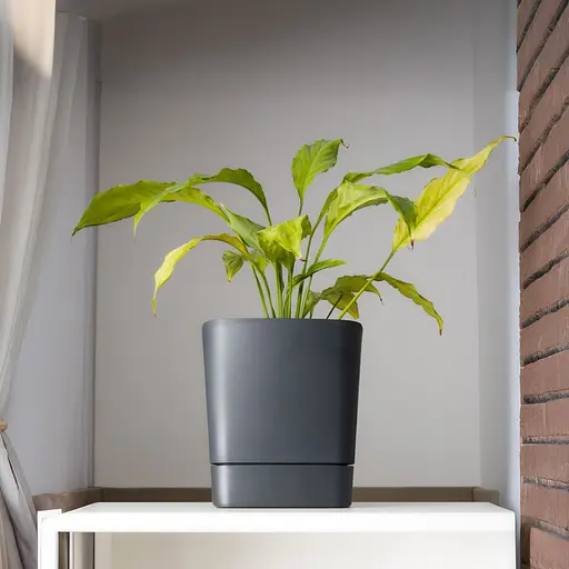 Вазон Lamela Clima з підставкою 25х25х24.3 см чорний бетон (9711420) - фото 2