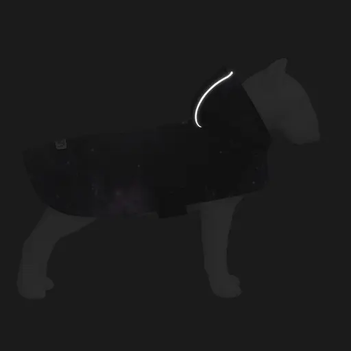 Дощовик-накидка з капюшоном для собак Waudog Clothes, малюнок "NASA21", M, А 40-43 см, B 52-62 см, С 33-42 см - фото 5