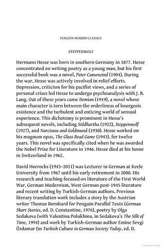 Steppenwolf - фото 4