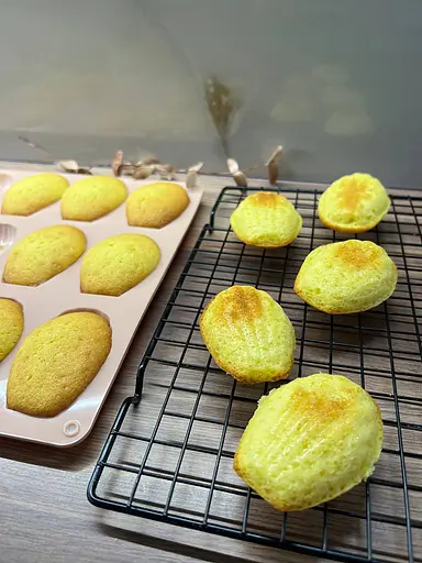 Форма силиконовая для выпечки печенья Мадлен на 18 ракушек 32х24х1.4 см C381, Kitchen Master Зеленый 87172 - фото 3