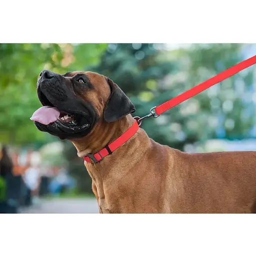 Повідець для собак Waudog Waterproof водостійкий S, червоний - фото 7