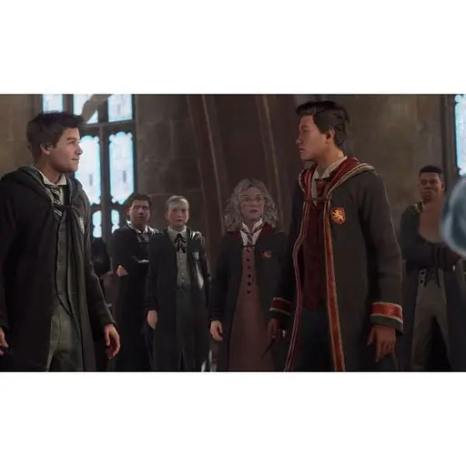 Гра Hogwarts Legacy Deluxe Edition російські субтитри Nintendo Switch - фото 5