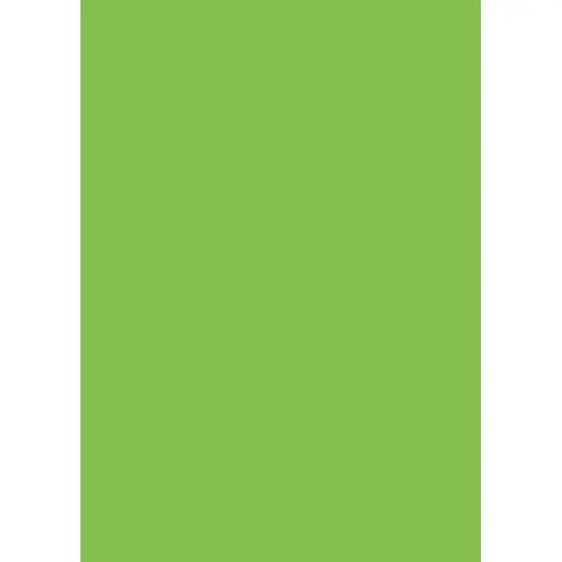 Папір для дизайну Folia Tintedpaper А4 (21x29.7см) №51 світло-зелений 130г/м2 без текстури