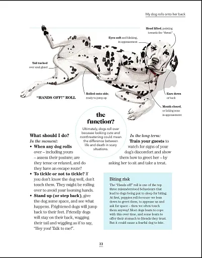 What's My Dog Thinking? Understand Your Dog to Give Them a Happy Life - фото 3