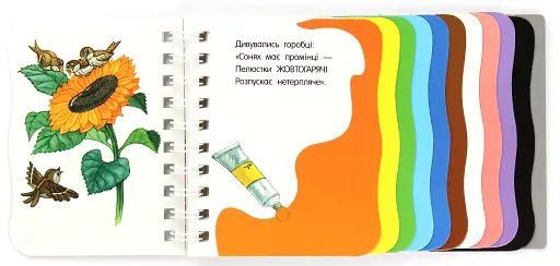 Перші кроки. Кольори - фото 4