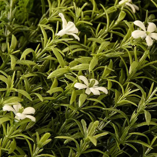 Декоративне покриття-фітостіна Engard Blossom Carnival 100х100 см (GCK-24) - фото 4