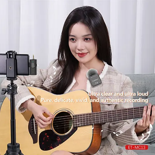 Микрофонная радиосистема Earldom ET-MC13 Black (136096) - фото 5