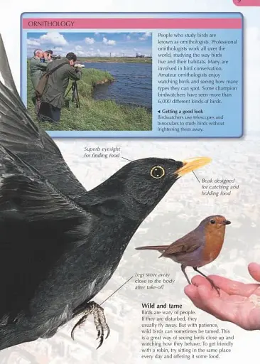 Nature Explorer. Box Set - фото 7