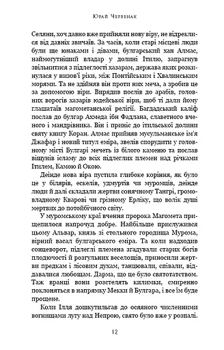 Богатир. Книга 1. Сталеве жезло - фото 7