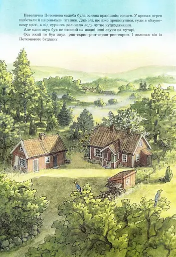 Книга Фіндус іде з дому. Казка. Автор - Свен Нордквіст (Богдан) - фото 3