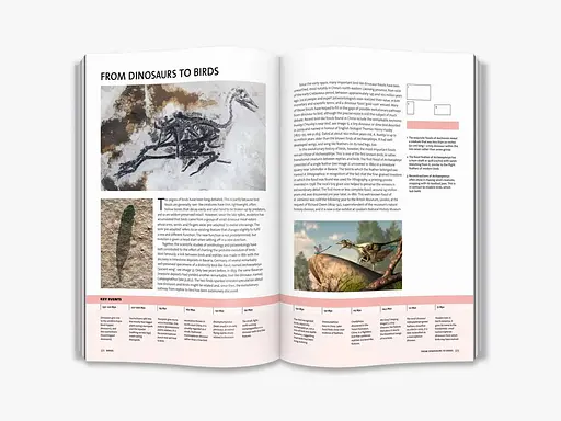 Evolution. The Whole Story - фото 3