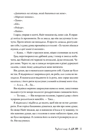 Розбитий лицар - фото 9