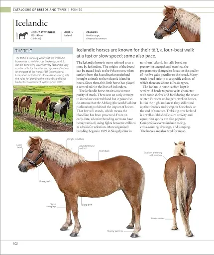 The Horse Encyclopedia (new edition) - фото 9