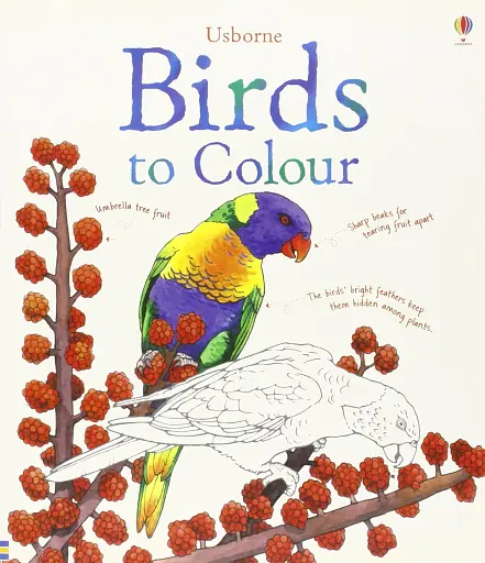 Colouring Book. Birds to Colour - фото 1