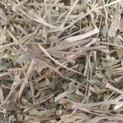 100 г петрушка сушена зелень/трава - свіжий урожай