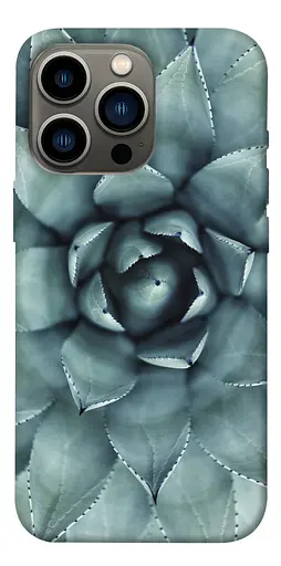 TPU чохол Сукуленти - фото 1