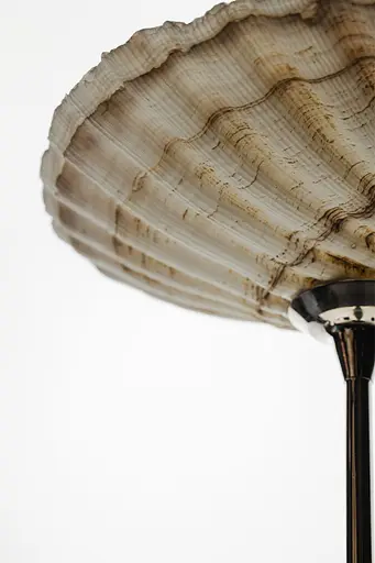 Бокал Shell Glass 90 мл - фото 7