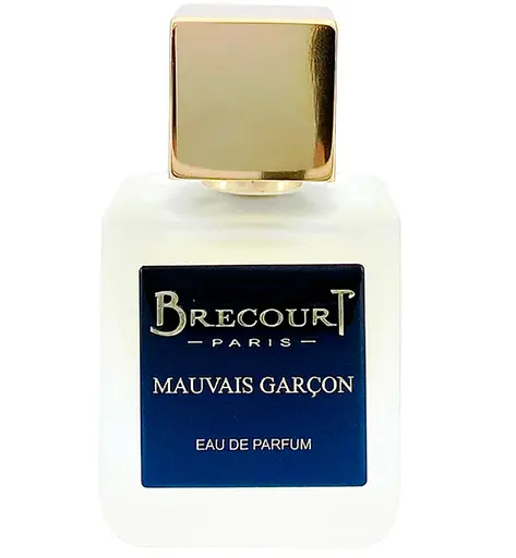 Оригинал Brecourt Mauvais Garcon 74 мл парфюмированная вода - фото 1