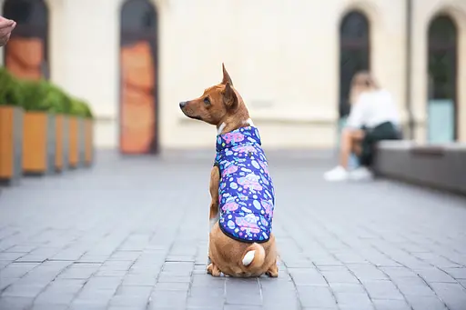 Курточка для собак Waudog Clothes малюнок "Рік та Морті 1", L65, В 87-90 см, С 60-65 см - фото 6