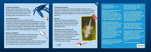 Морские рачки Sea Dogs Kosmos - Научный набор (616779) - фото 3