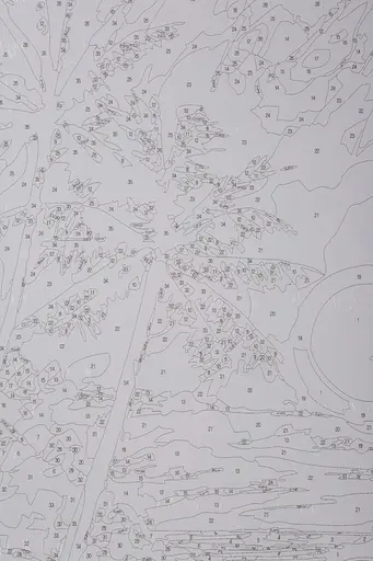 Набор для росписи "Тропическое побережье" 40*50 см, IDEA2-GX47235, ТМ "99IDEAS" - фото 7