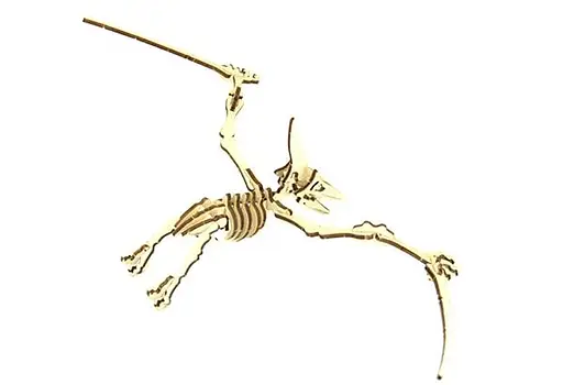 Дерев'яний конструктор Птеродактиль 29 деталей - фото 6