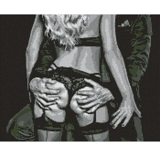 Алмазная мозаика Тепло страсти AMO7933 40х50см