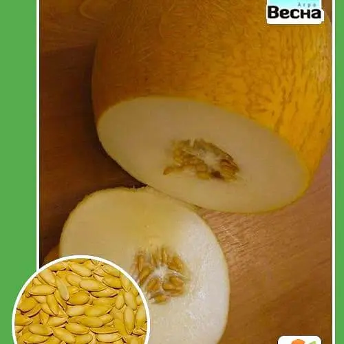 Дыня "Титовка" ТМ "Весна" 1.5г (10133) - фото 1