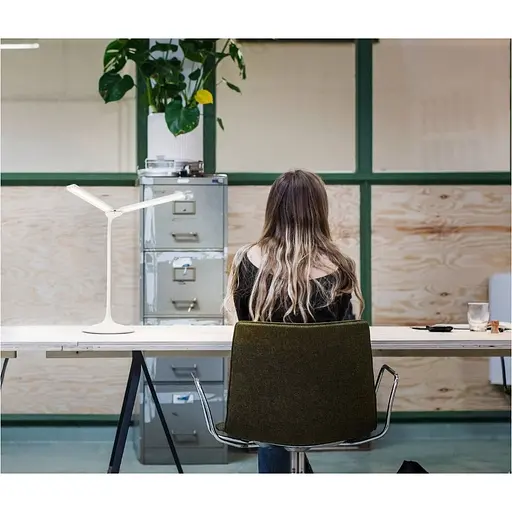 Настільна лампа Ledvance Panan Disc Double White (4058075301733) [152278] - фото 12