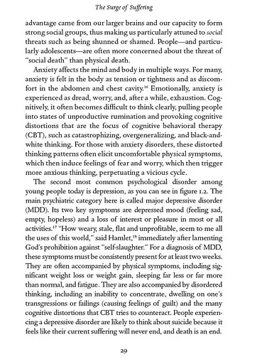 The Anxious Generation. How the Great Rewiring of Childhood Is Causing an Epidemic of Mental Illness - фото 29