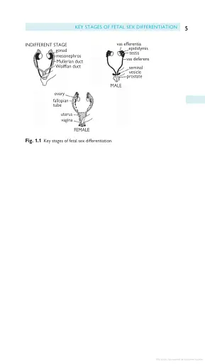 Oxford Handbook of Reproductive Medicine and Family Planning - фото 8