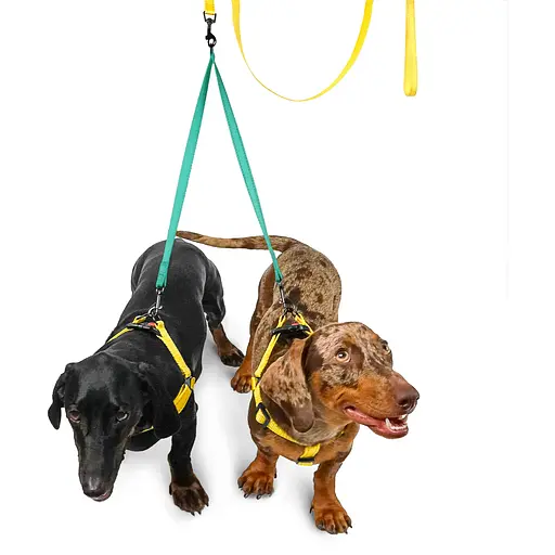 Поводок-спарка для собак рефлекторный Barksi Active (ширина 16 мм, длина 60 см) ментоловый - фото 4